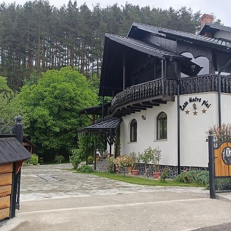 Villa Casa Dintre Pini Păltinoasa Exterior foto