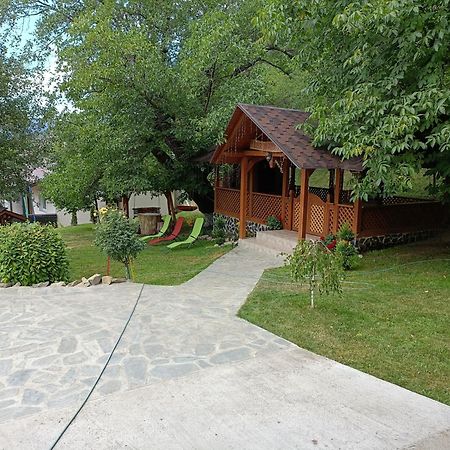 Villa Casa Dintre Pini Păltinoasa Exterior foto