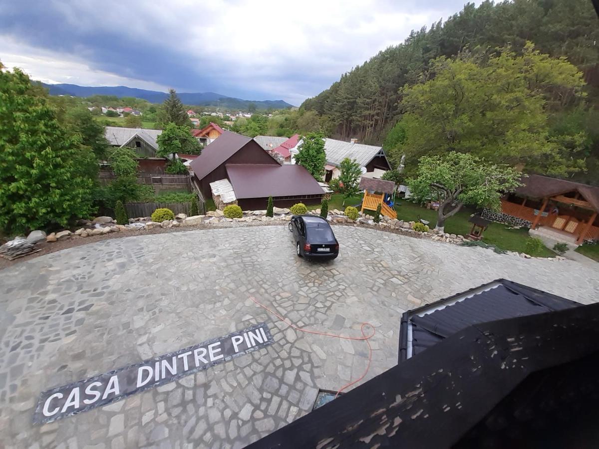 Villa Casa Dintre Pini Păltinoasa Exterior foto