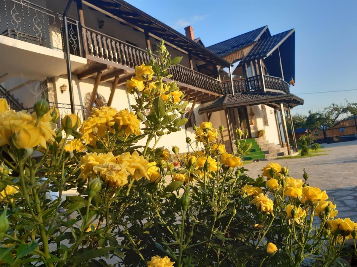 Villa Casa Dintre Pini Păltinoasa Exterior foto