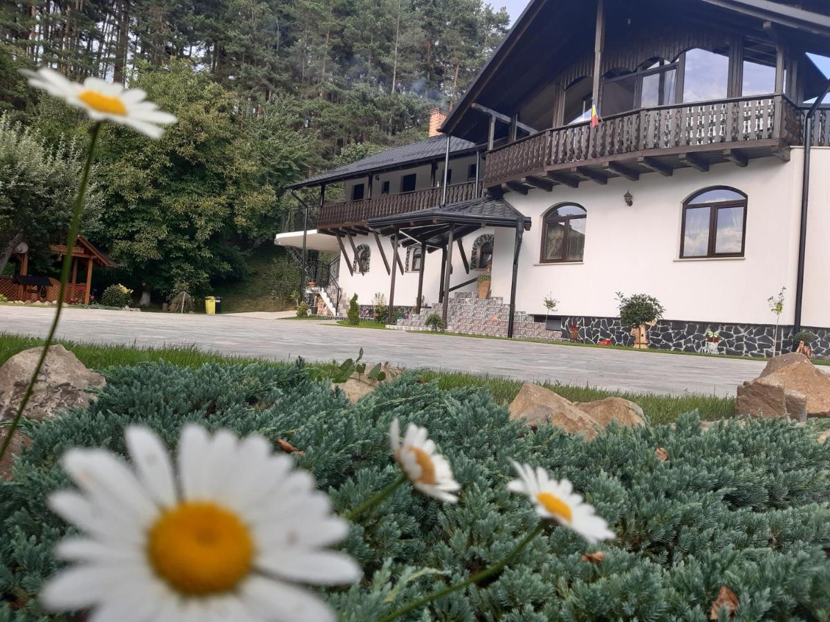 Villa Casa Dintre Pini Păltinoasa Exterior foto