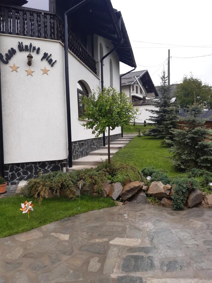 Villa Casa Dintre Pini Păltinoasa Exterior foto