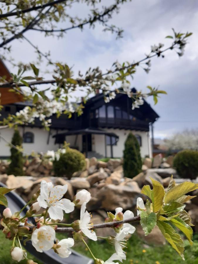 Villa Casa Dintre Pini Păltinoasa Exterior foto