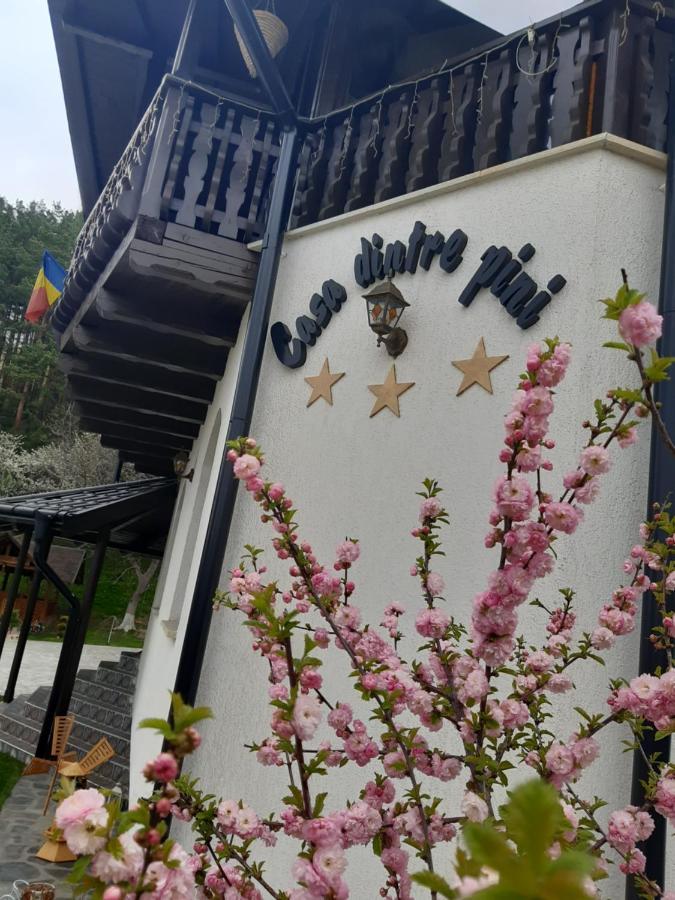 Villa Casa Dintre Pini Păltinoasa Exterior foto