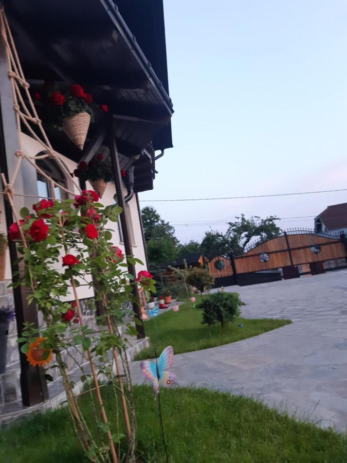 Villa Casa Dintre Pini Păltinoasa Exterior foto