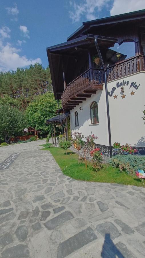 Villa Casa Dintre Pini Păltinoasa Exterior foto