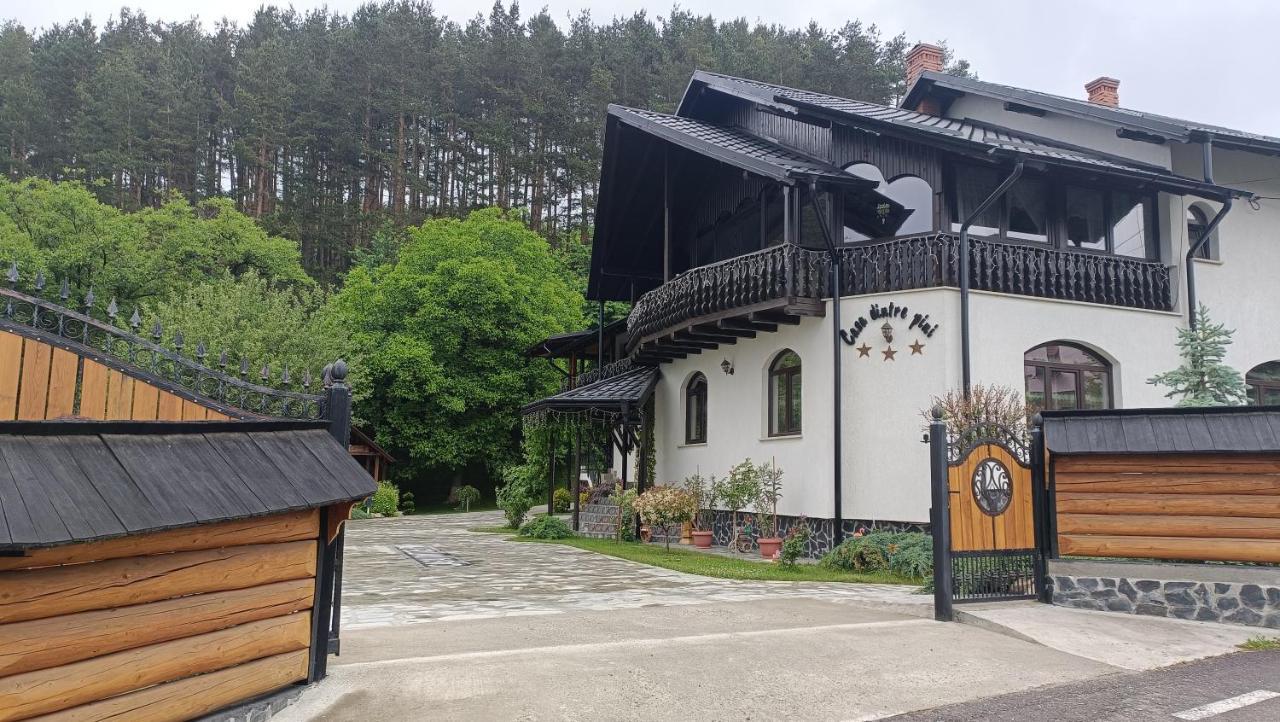Villa Casa Dintre Pini Păltinoasa Exterior foto